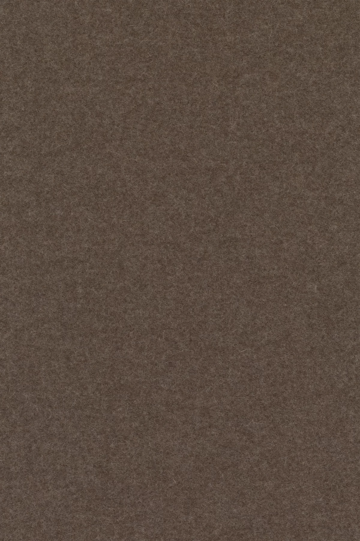 Divina melange 3, 260